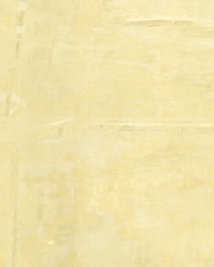 painting and decorative finishes