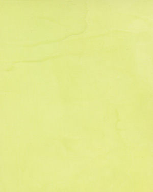 painting and decorative finishes