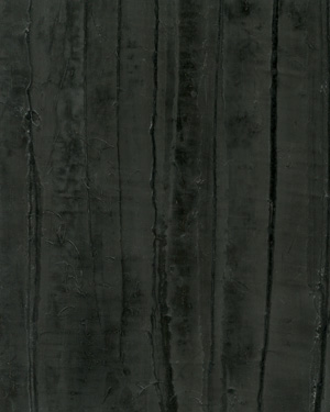 painting and decorative finishes