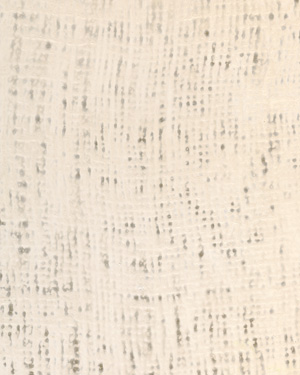 painting and decorative finishes