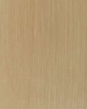 painting and decorative finishes