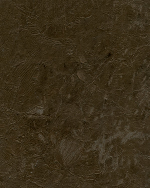 painting and decorative finishes