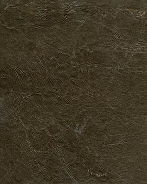 painting and decorative finishes