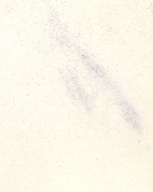 painting and decorative finishes