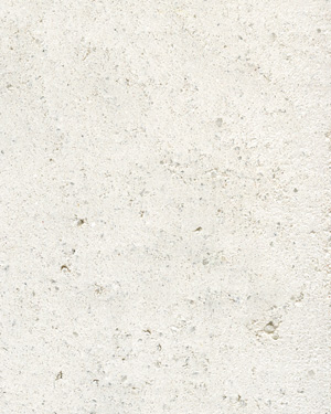 painting and decorative finishes
