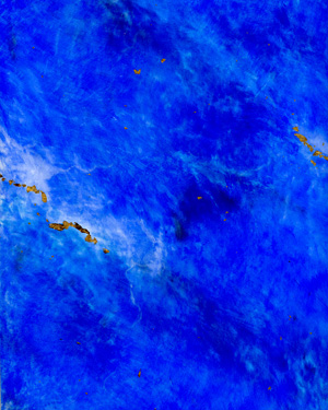 painting and decorative finishes