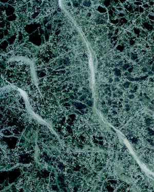 painting and decorative finishes