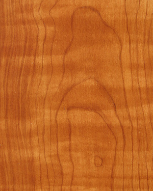 painting and decorative finishes