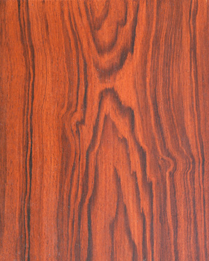 painting and decorative finishes