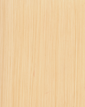 painting and decorative finishes