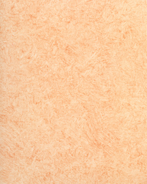 painting and decorative finishes