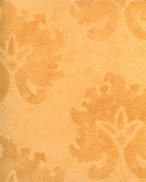 painting and decorative finishes