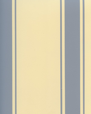  painting and decorative finishes